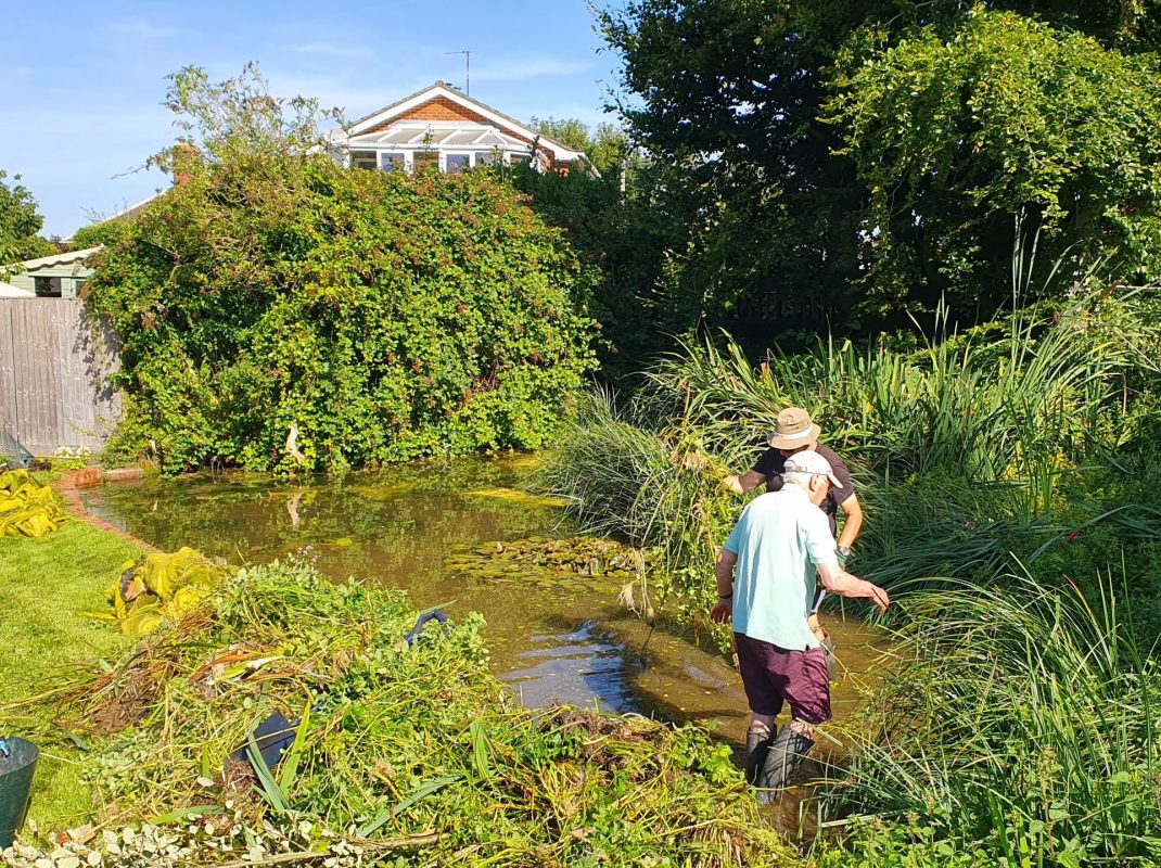 imgi_2_20230816_102530-scaled